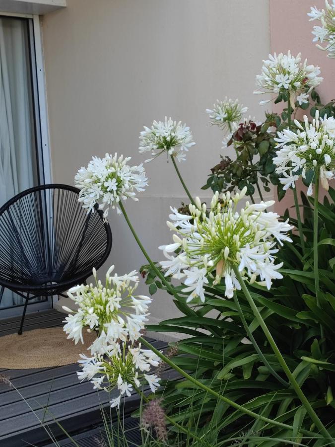 קונקרנו Le 3 Appartement Vue Mer Avec Jardin 100M De La Plage Et De La Thalasso מראה חיצוני תמונה